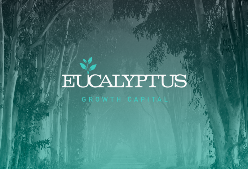 Ветераны израильской IT-индустрии создают фонд Eucalyptus Growth Capital